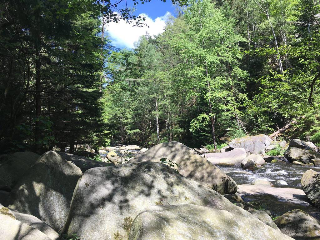 Apartman S Vyhledem Na Jezero Lipno nad Vltavou Dış mekan fotoğraf